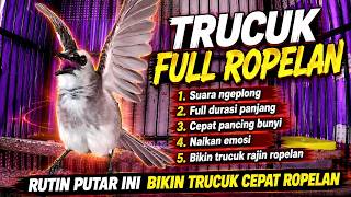 TRUCUKAN GACOR ROPEL PANJANG, CEPAT MEMANCING TRUCUK BUNYI RAJIN ROPELAN