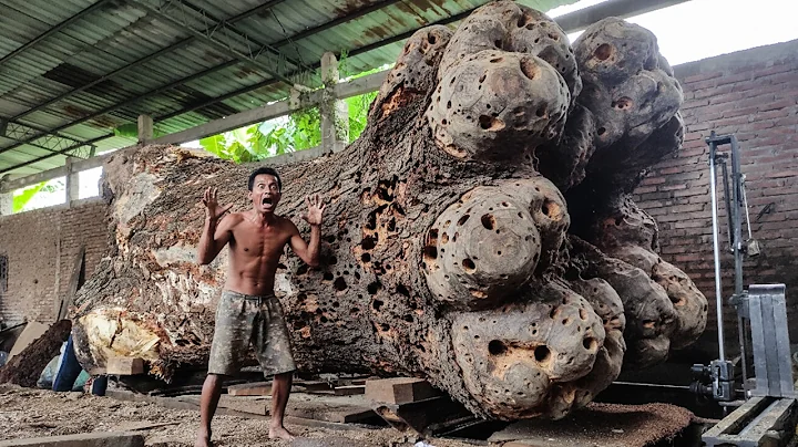 MYSTERIOUS DISCOVERY!! What Happened During the Cutting of This Old Joar Wood Shocked Everyone