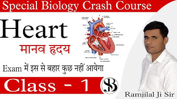 ह्रदय कैसे काम करता है ? ह्रदय की संरचना एवं कार्य | Human Heart & Its Function in Hindi | #heart