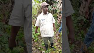 Geochemical and Magnetic Survey, March 18,2021, Ilesha, South West Nigeria.(4)