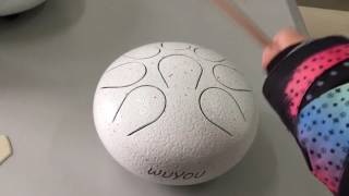 IMG 5685