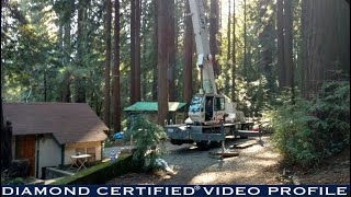 Koala Tree Care Diamond Certified Video Profile