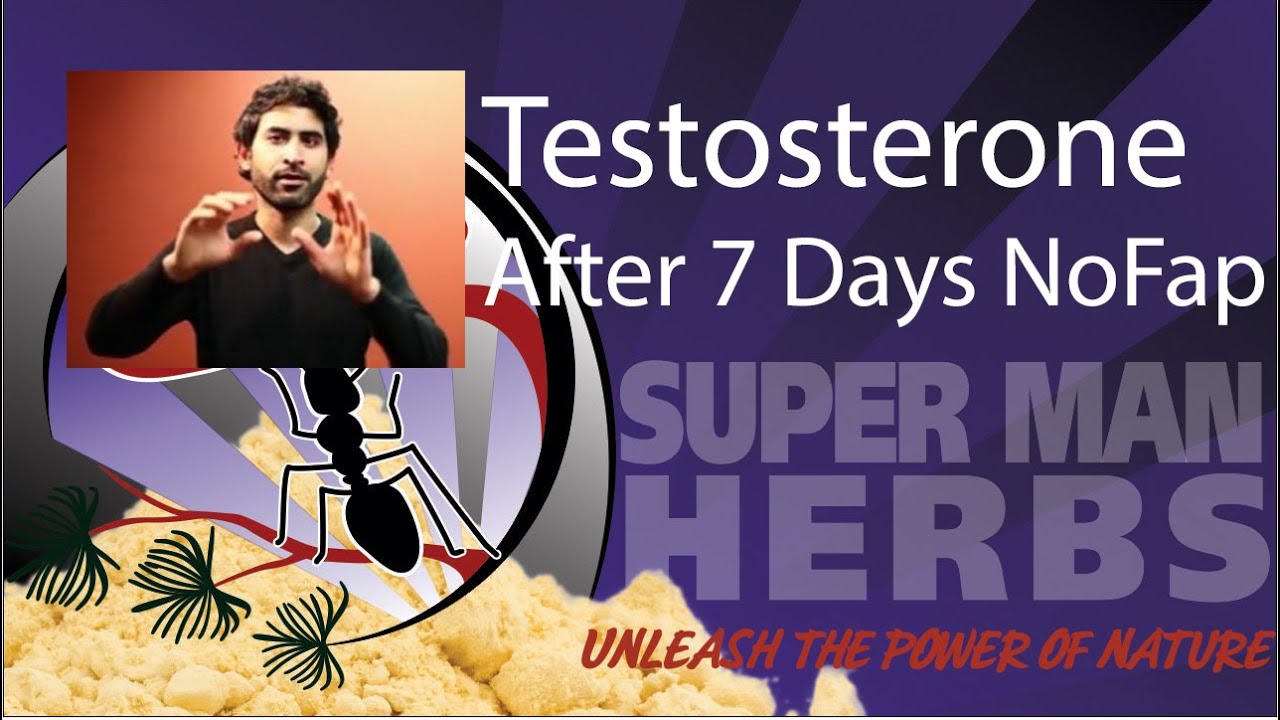 Jerk Off And Sex Exactly 1 Week to Boost Testosterone? [Part 9] - YouTube