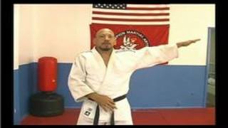 Judo Lessons for Beginners : How to Do a Judo Side Fall
