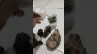 GETAH KATILAYU ASLI NATURAL DARI POHON KATILAYU DAN BATU POSIL GETAH KATILAYU ASLI.