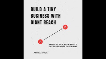 Build A Tiny Business With Giant Reach: Small-Scale, High-Impact Entrepreneur Blueprint - Ahmed Musa