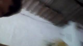 Andando De Carrinho 02