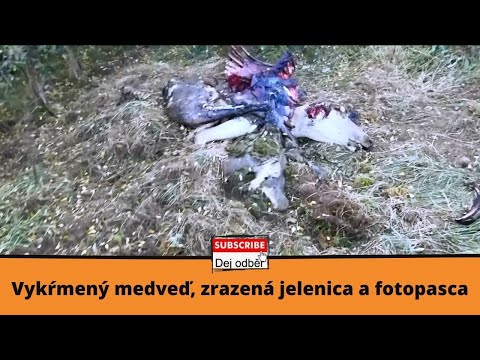 Video: Odpudzovač Komárov: Pre Vonkajšie A Letné Chaty, Zvukové Repelenty Pre Domácnosť A Rybolov, Prenosné Vonkajšie Zariadenia, Ich Voľba