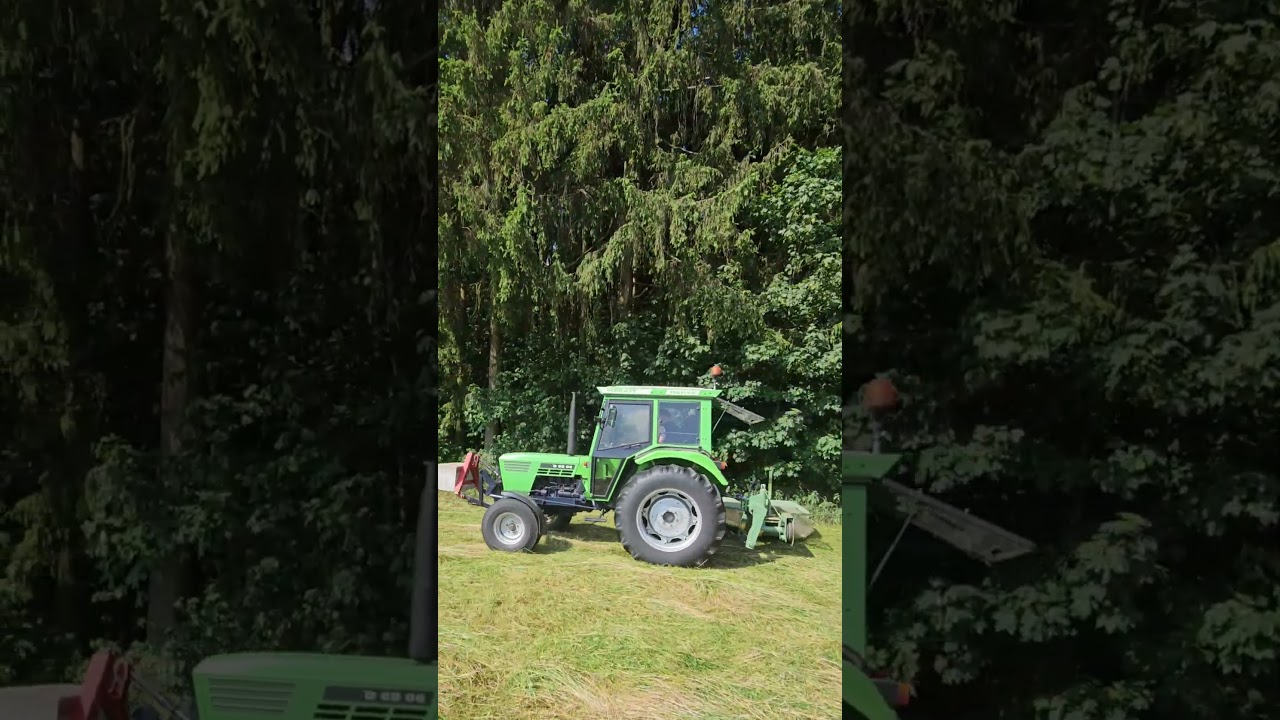Deutz D 6206 Oldtimer beim Gras mähen🌿🚜