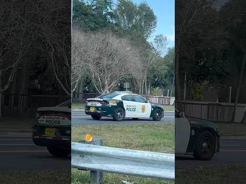 Miami Dade Police Charger #reels #police #random #policecars #cops #miami #florida #sheriff #cars