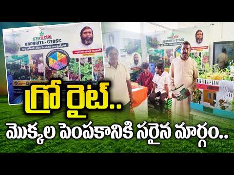 Terrace Gardening | మిద్దెతోట నిర్మాణానికి మేలైన విధానం | ఒకే చోట 10 రకాల కూరగాయ మొక్కలు | But News
