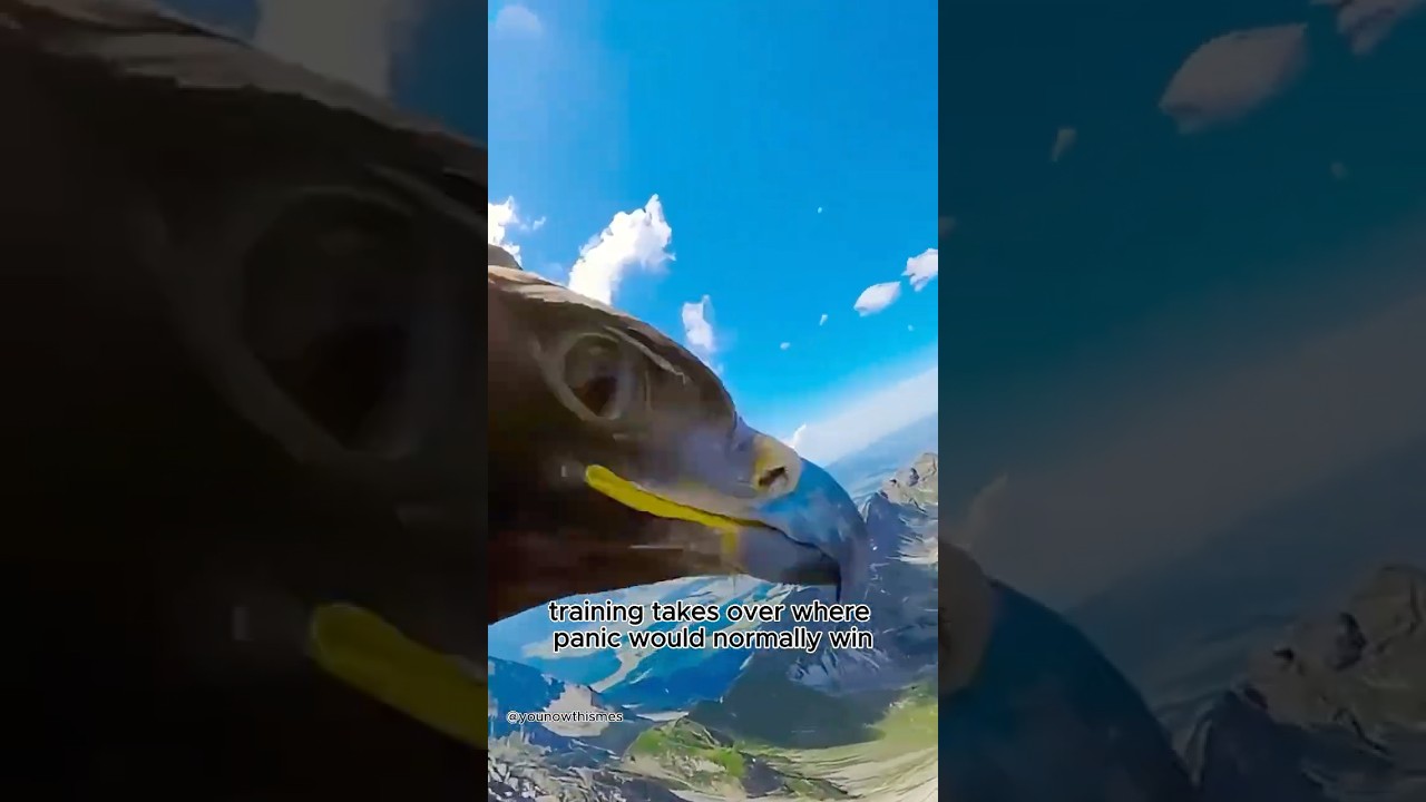 How Elite Athletes Control Fear Mid-Air | The Psychology of Extreme Precision