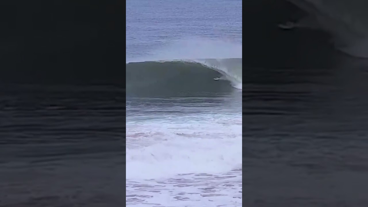 Clips