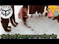Maths Activity:गणित का अनोखा खेल इकाई,दहाई,सैकड़ा,हजार की समझ विकसित करना l Nipun bharat Gatividhi l