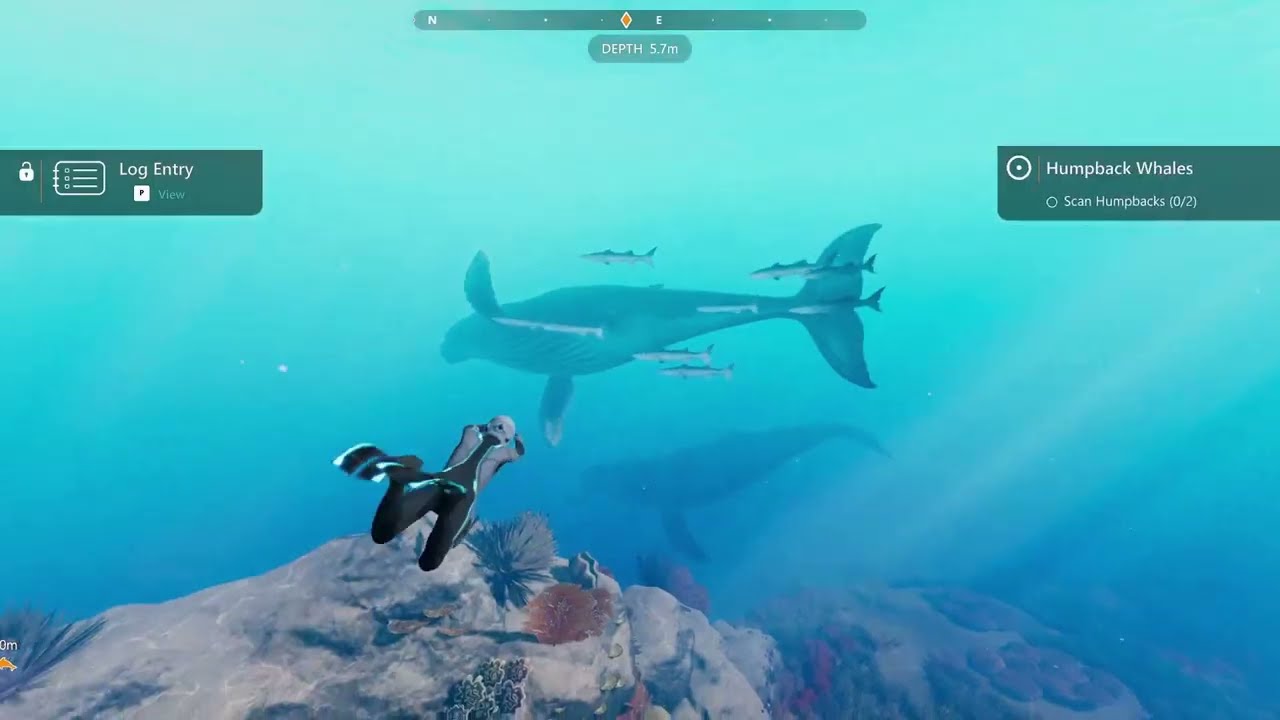 Much Majestic, Much Wow - Beyond Blue