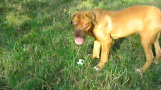 CLIP0195.AVI