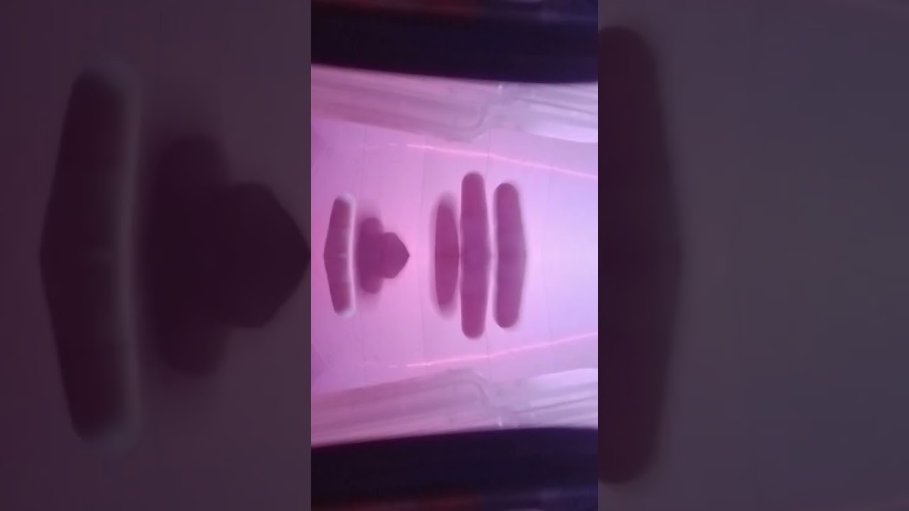 26 de septiembre de 2024