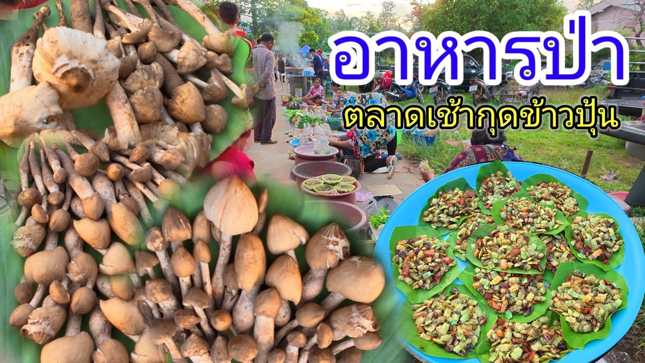 เลาะตลาด EP #7 ตลาดอาหารพื้นบ้าน อำเภอกุดข้าวปุ้น อุบลราชธานี