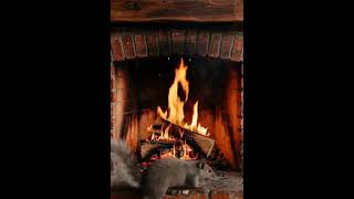 SBF 34 Cozy Fireplace ASMR Surprise – Guess What It Is!