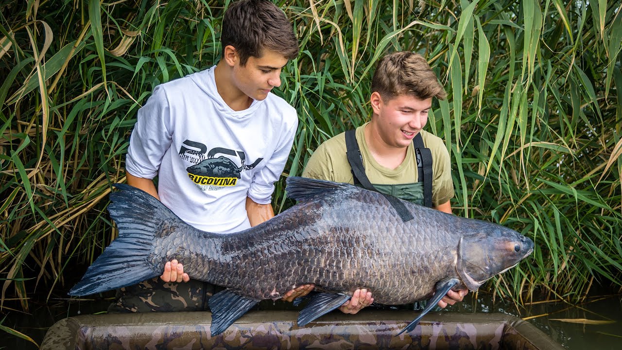 RECORD ABSOLUT! Kent, Black Amur-ul de 37.4kg-CEL MAI MARE PESTE prins pe Lacul Iannis, August 2025