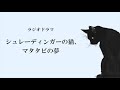 【ミステリー】ラジオドラマ 『シュレーディンガーの猫、マタタビの夢』