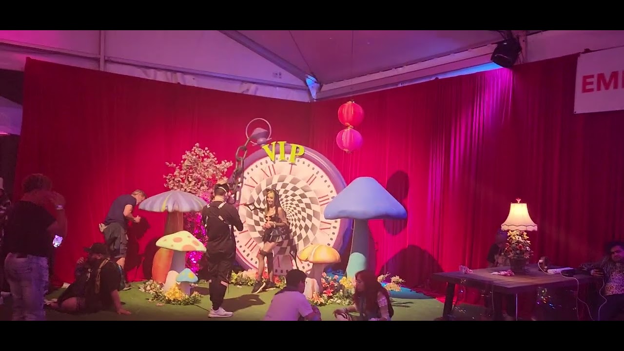 beyond wonderland vip 2022