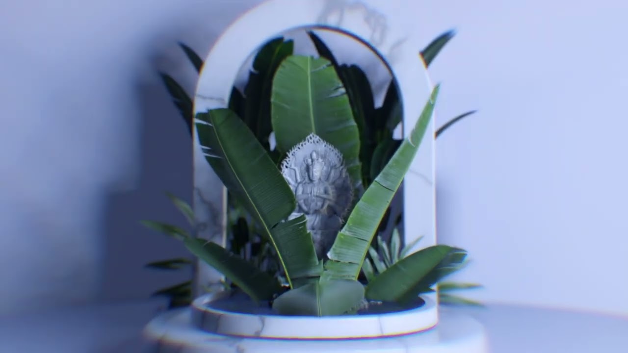 STAR SEED - Metaphysical