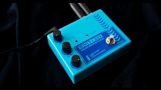 Lastgasp Art Laboratories - MISTY CAVE - Analog Resonance Echo LAL MC