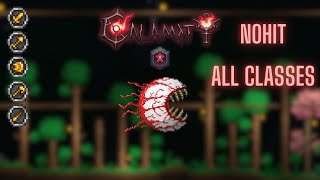 Terraria Calamity: Eye of Cthulhu Master Death Mode No Hit All Classes