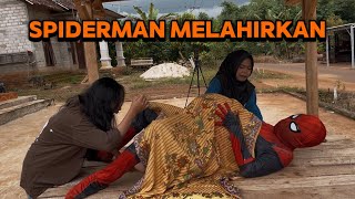 Spiderman Melahirkan Anak Zombi