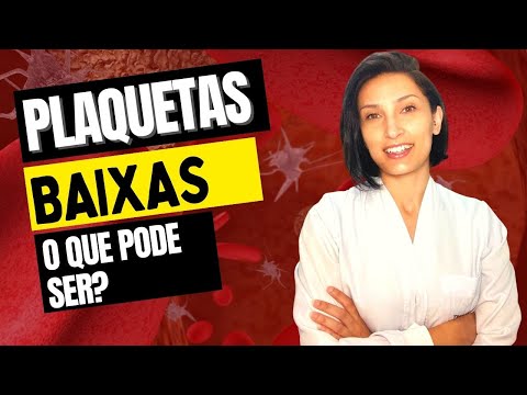 O que Significa