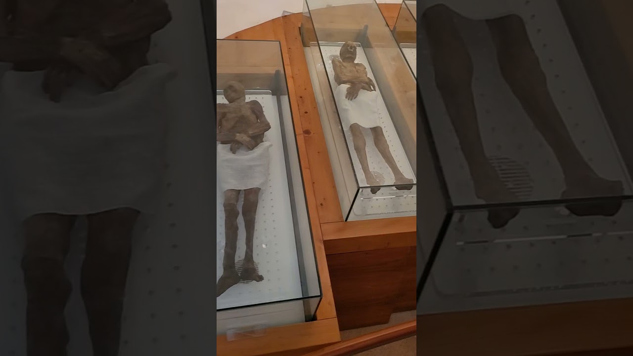 Mummified CorpsesLe Mummie di Venzone Italy