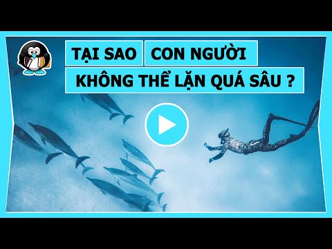 Video: Giới hạn Không Giải nén trong Lặn bằng bình dưỡng khí là gì?