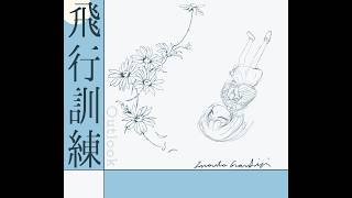 飛行訓練