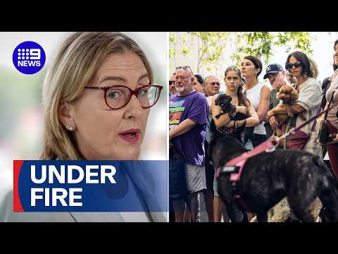 Jacinta Allan under fire | 9 News Australia