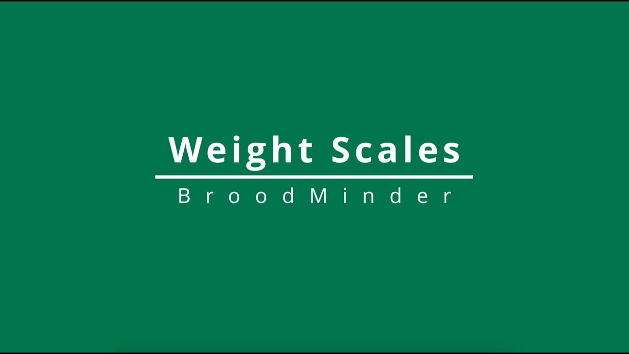 BroodMinder Weight Scales