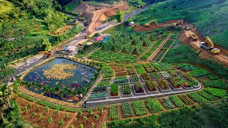 Destroyed to Thriving: 190 Days Rebuilding a Mountain Farm & Raising 200 Ducks