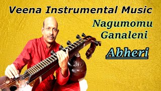 Nagumomu Ganaleni | Ragam Abheri | Thyagaraja |  #Carnaticmusic  | #Veenaconcert |  Karthik