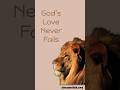 Lion Bible verse Jeremiah 3:13 #love love never fail #shortfeed #biblescripture #dailymotivation