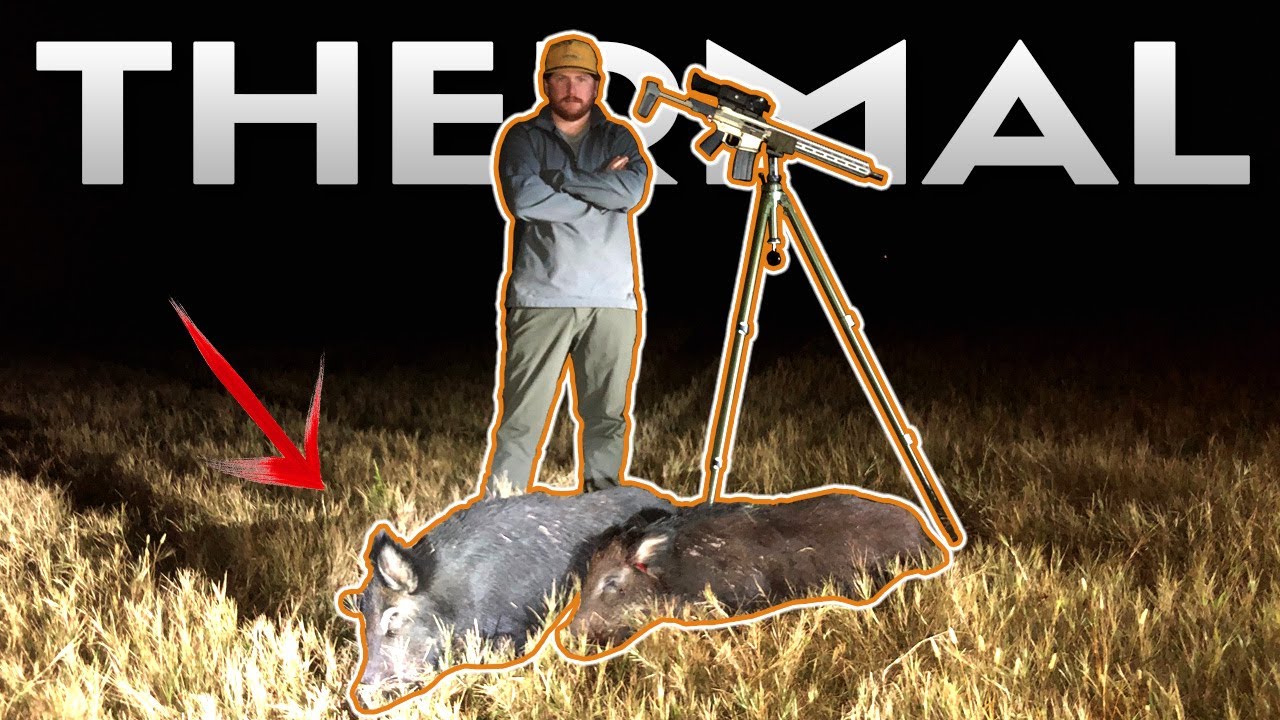 FERAL HOG HUNTING with THERMAL Night Vision in TEXAS Jeremy's first