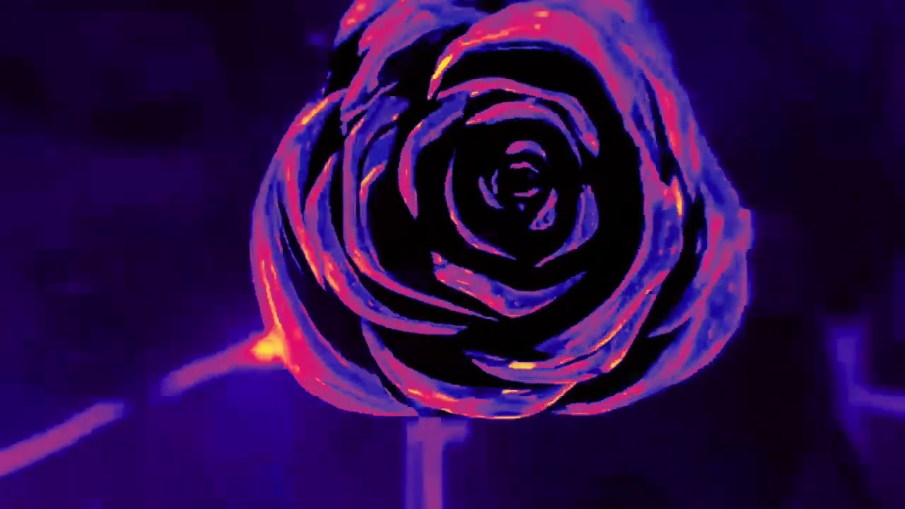 Syed Qodeem - Lepas Aku Aku ( Official Visualizer )