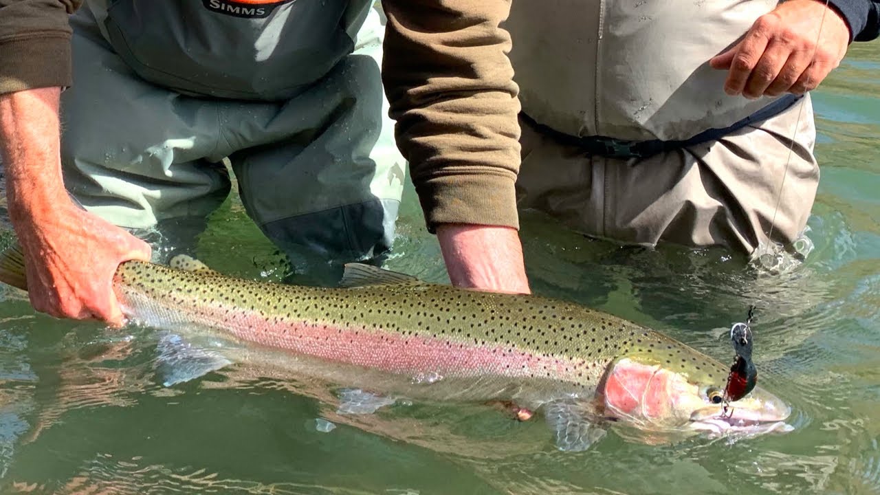 Top 5 Best Steelhead Fishing States YouTube