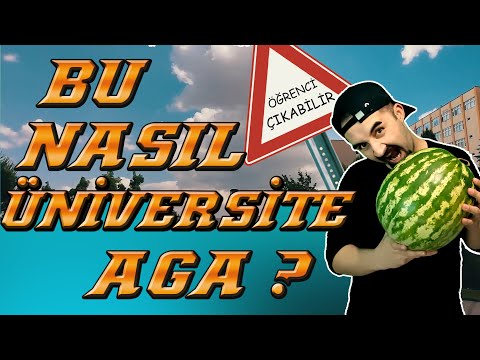 DİYARBAKIR DİCLE ÜNİVERSİTESİ (DÜ)