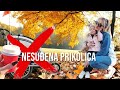 ❗STORYTIME nesuđena prikolica ❗