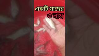 মাছ একটি নাম তিনটি #মাছচাষ #fishing #fish #funny #foryou #ER AGRO FARM747