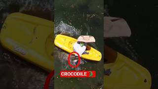 Crocodile 🐊 In Lake Demo #crocadile #shorts #ytshorts #viralvideo #shortvideo #shortsfeed #fypシ