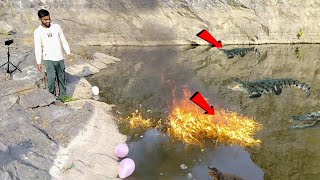 Dont Mix Petrol With Water मगरमचछ Water Vs Petrol .Indian.hacker
