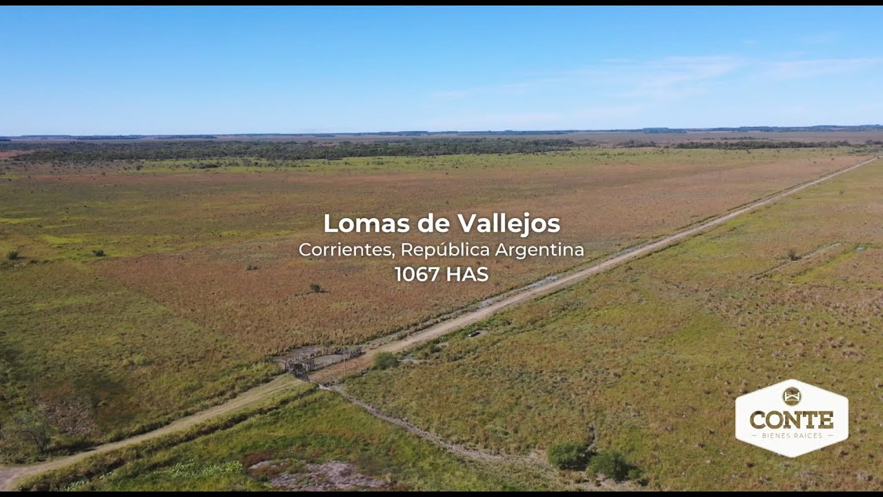 Conte Bienes Raíces - Lomas de Vallejos 1067 Has - YouTube