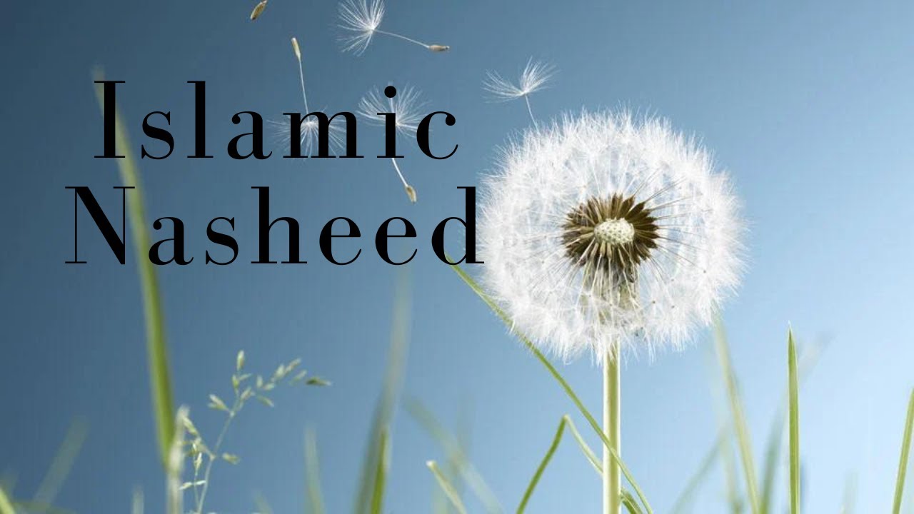 No Copyrigh -Humming nasheed (Vocals Only) [Islamic Music City] - YouTube