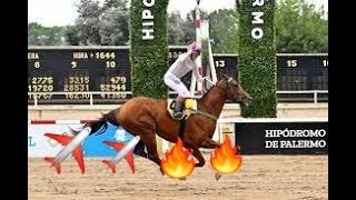 Hípica Mundial, Programa 11- Stakes Winners Tv